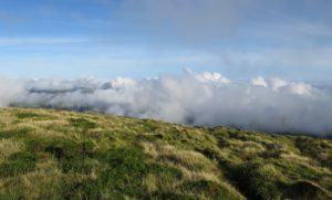 Dampfende Landschaften auf Terceira